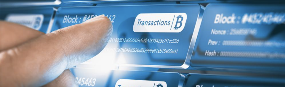 Punt CAsino explores the best bitcoin wallet for online gambling