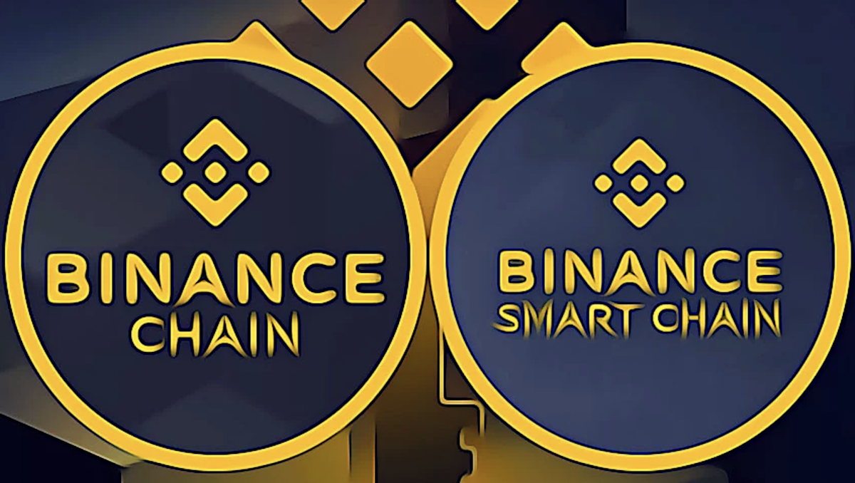 The Binance Chain and the Binance Smart Chain are two separate blockchains that make up the BNB Chain.