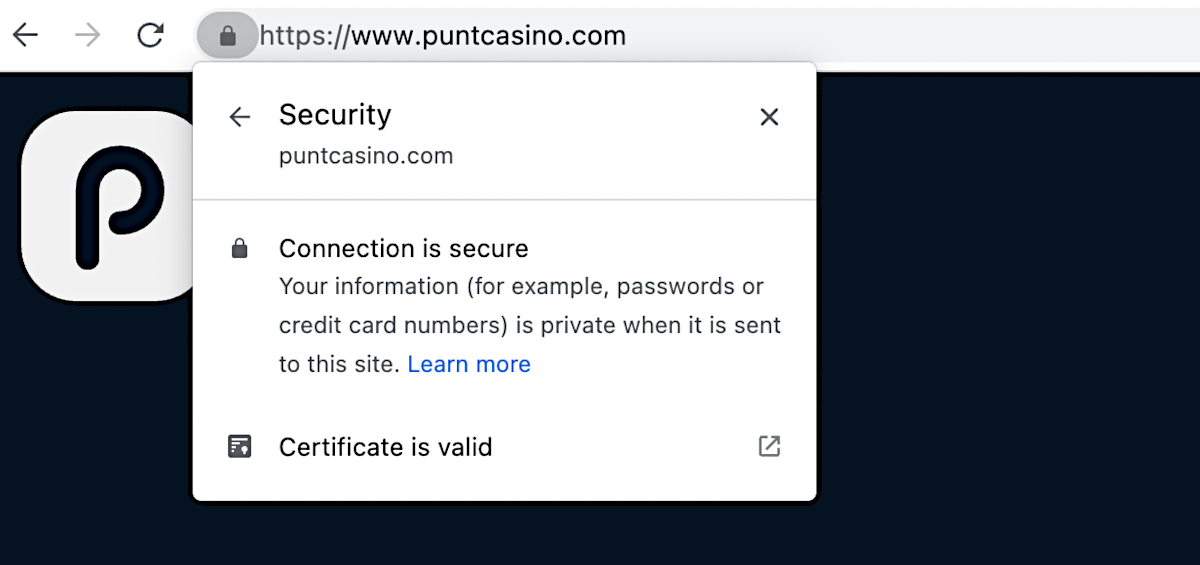 Punt Casino is fully encrypted with a 256-bit SSL Security Certificate.