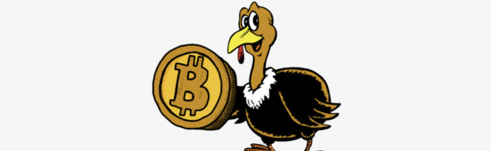 How to Explain Bitcoin to Your Family This Thanksgiving from Punt Casino.