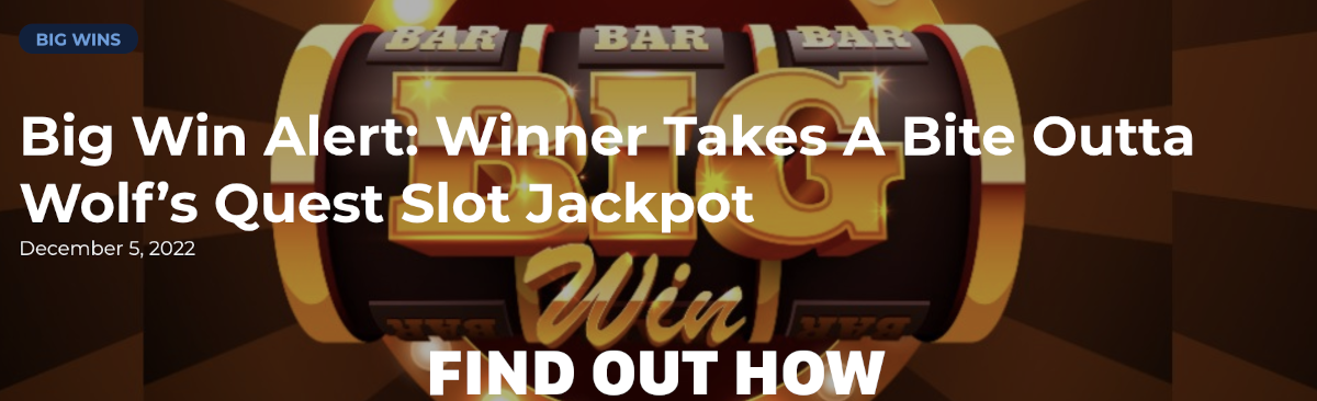 Big win at Punt Casino.