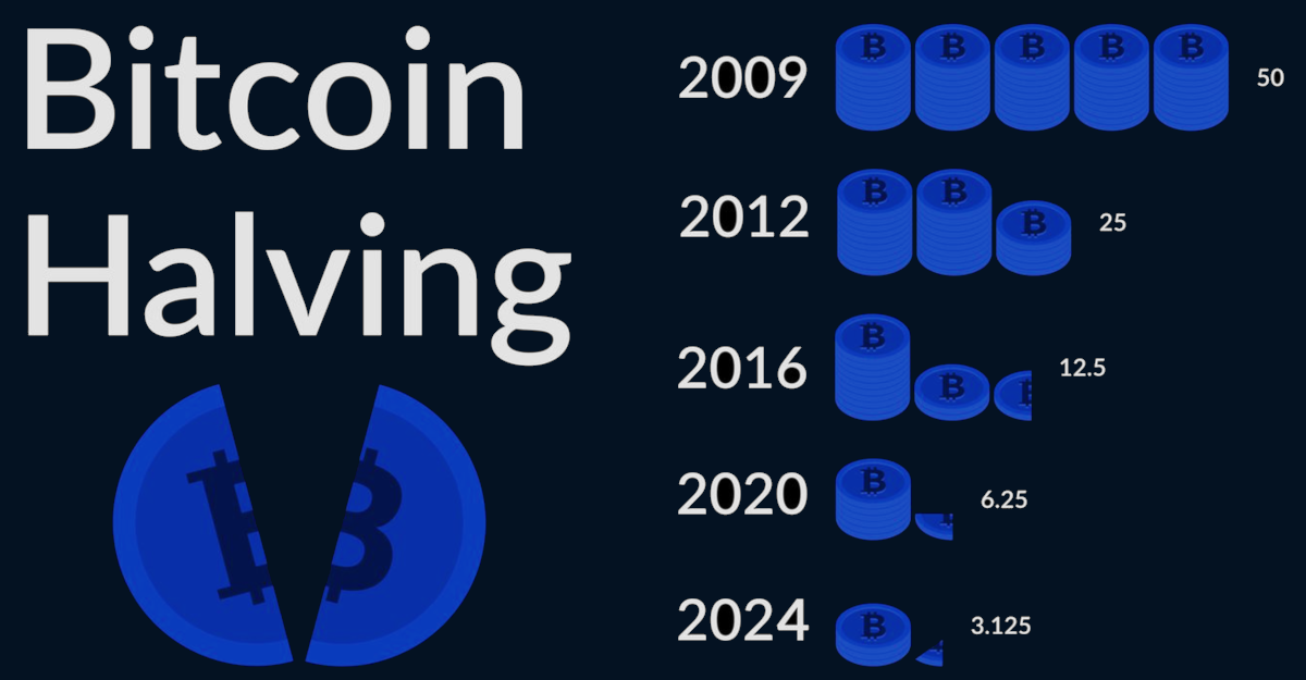 Bitcoin halving events to date.