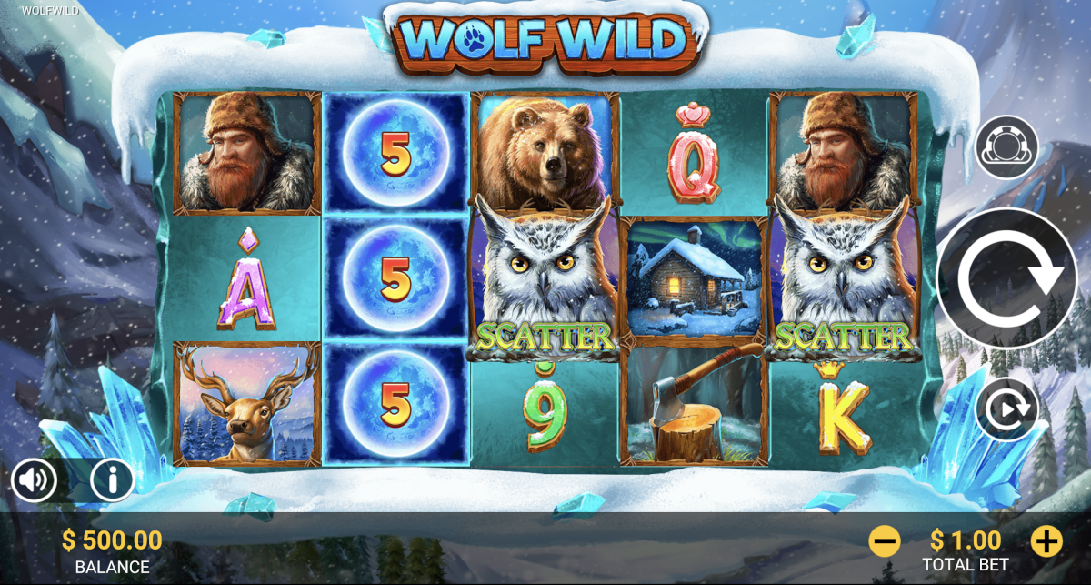 Wolf Wild slot from Reevo played at Punt Casino.