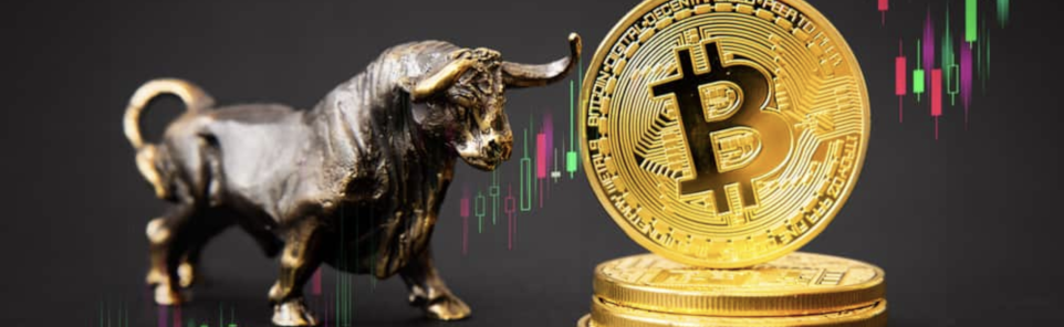 Is Bitcoin Set for a 2023 Bull Run?
