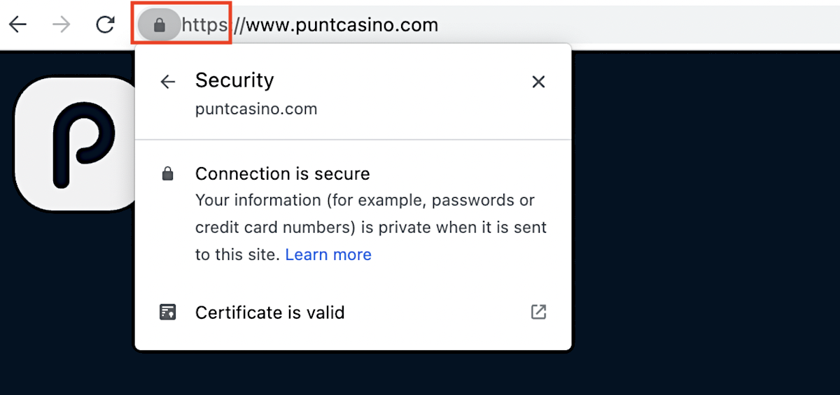 Punt Casino is protected by SSL Security Encryption.