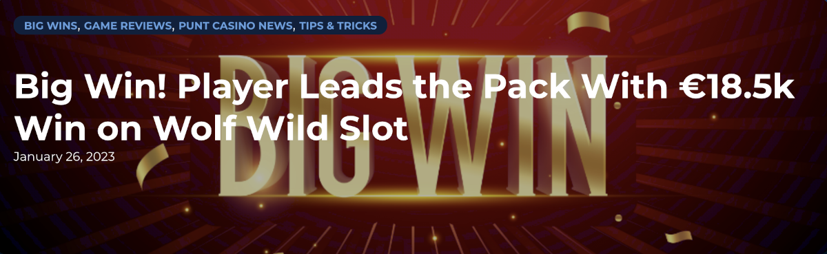 Big win on Wolf Wild slot from Reevo at Punt Casino.