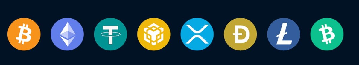 Accepted cryptocurrencies at Punt Casino.
